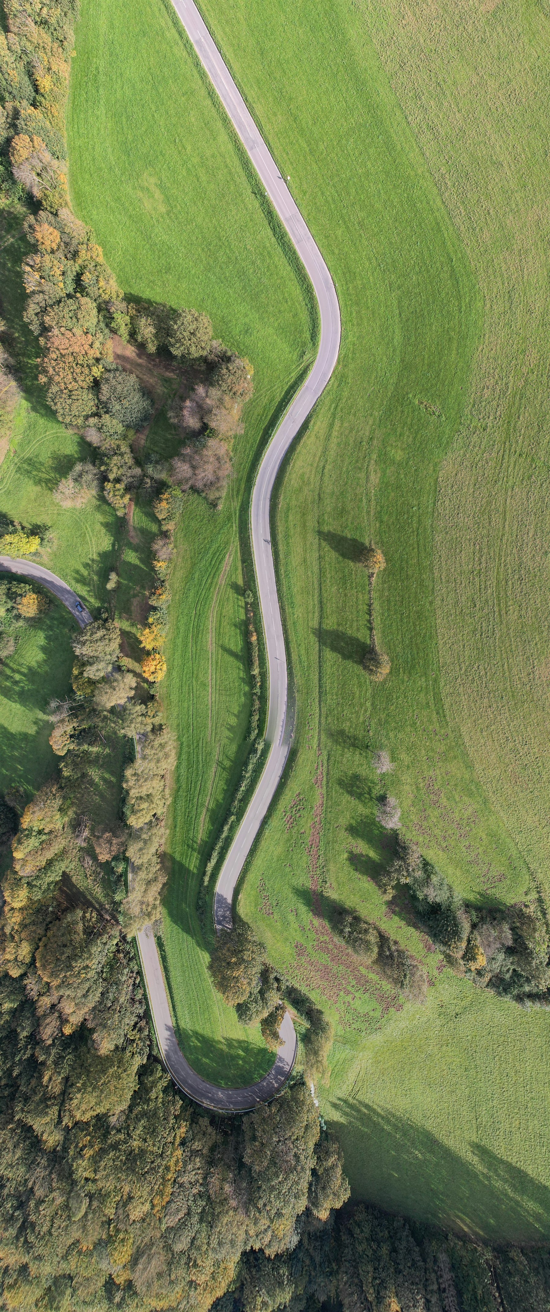 An aerial view of a winding road cutting through green fields, evoking a planned path forward.